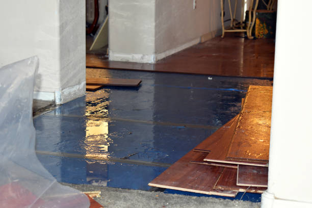 Professional Basement Flood Cleanup technician working in Ashland, MO